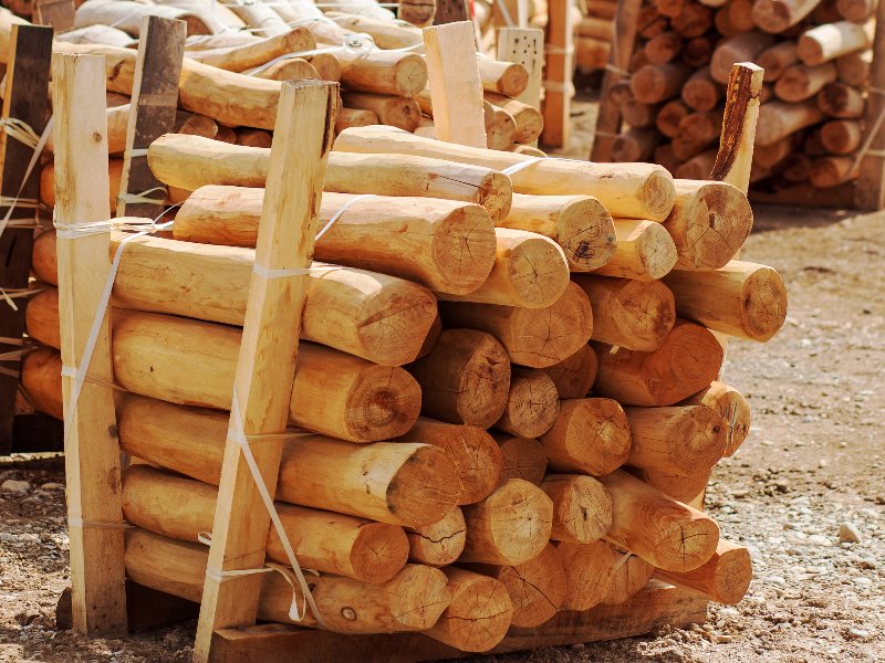 hout voor robinia speeltoestellen en andere toepassingen